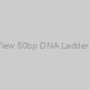 Azura PureView 50bp DNA Ladder - 100 Lanes